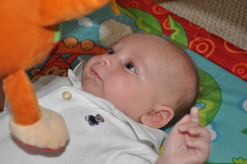 William's Tenth Week 27.jpg